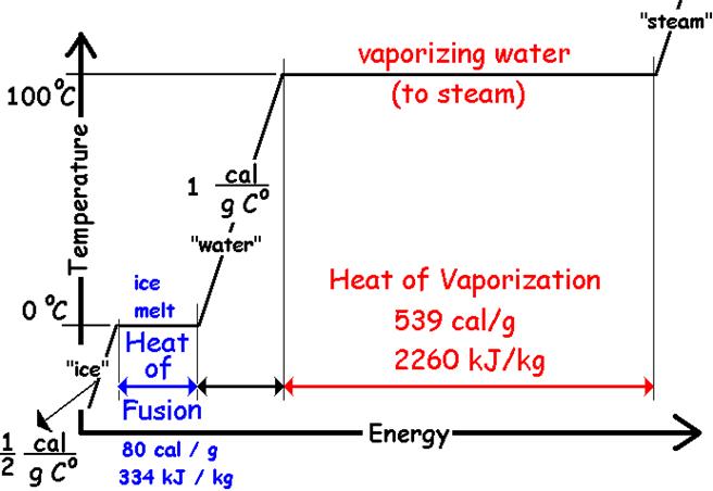 Boddeker's Calorimetry